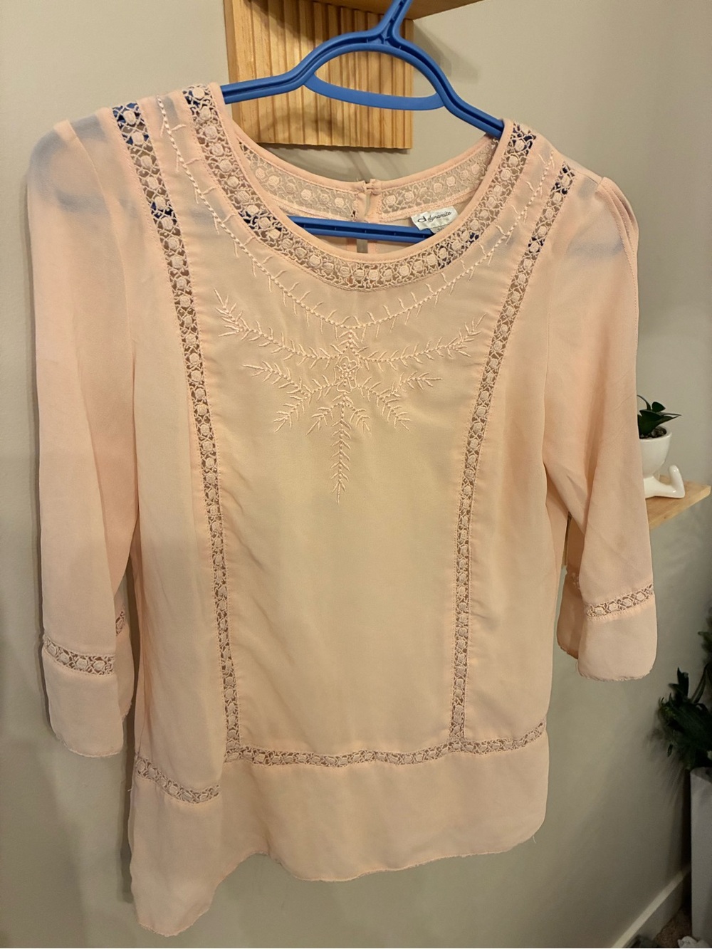 Dynamite Lace-Trim Embroidered Blouse (2010’s)